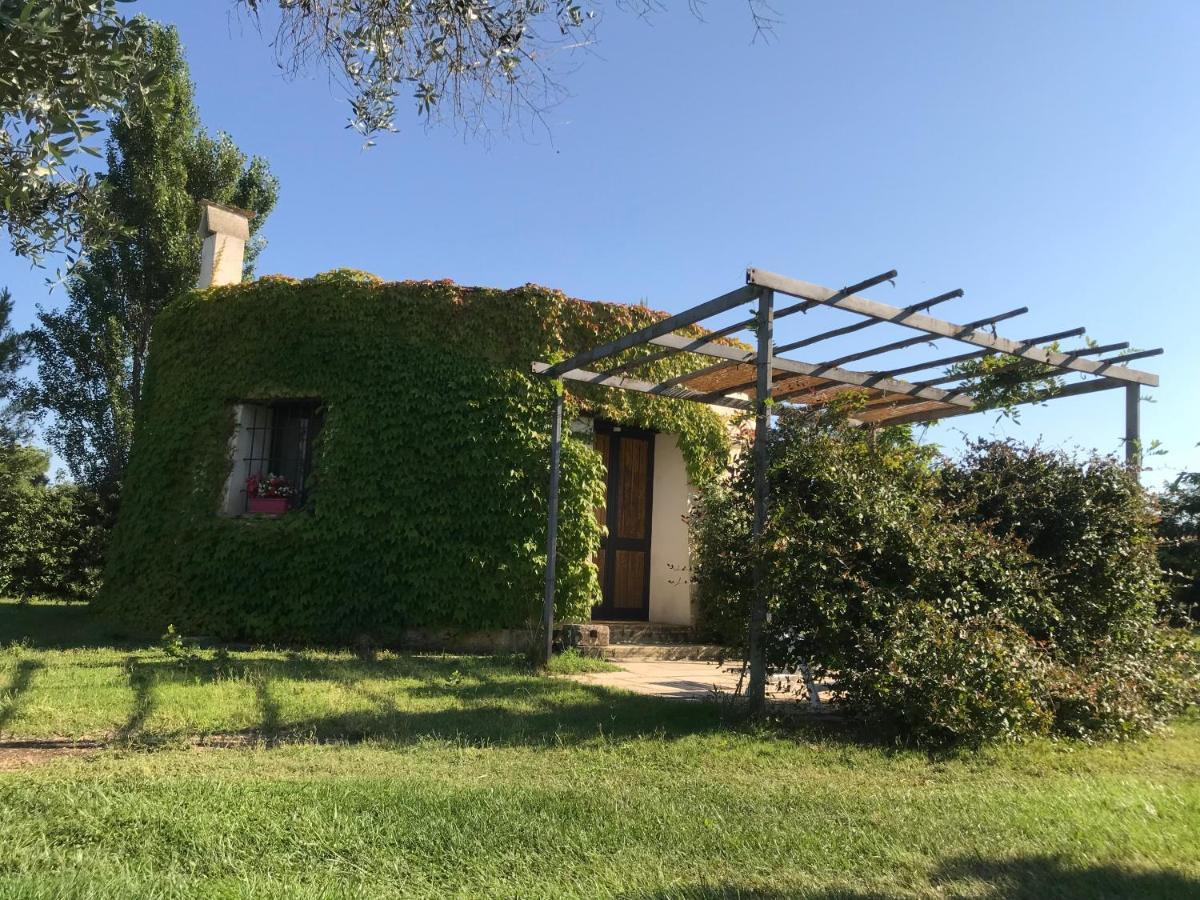 Masseria La Torre Maglie Bagian luar foto
