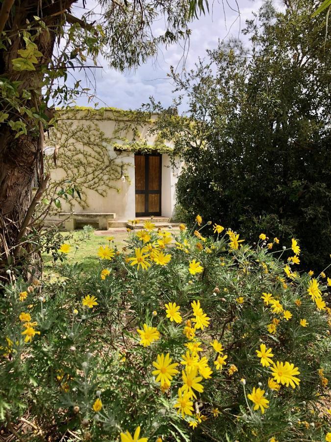Masseria La Torre Maglie Bagian luar foto